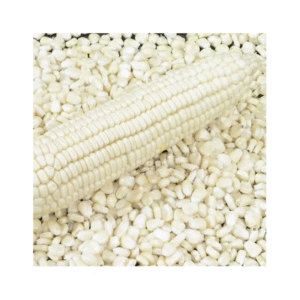 Maïs blanc sans OGM, sac de 110kg