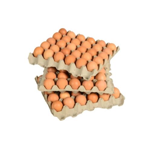 Œufs de poule de table en gros / Œufs frais de ferme – Meilleur prix